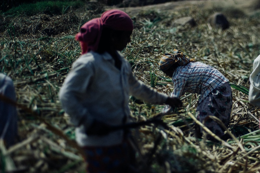 Empowering Livelihoods: Sustainable Economic Initiatives for Tribals