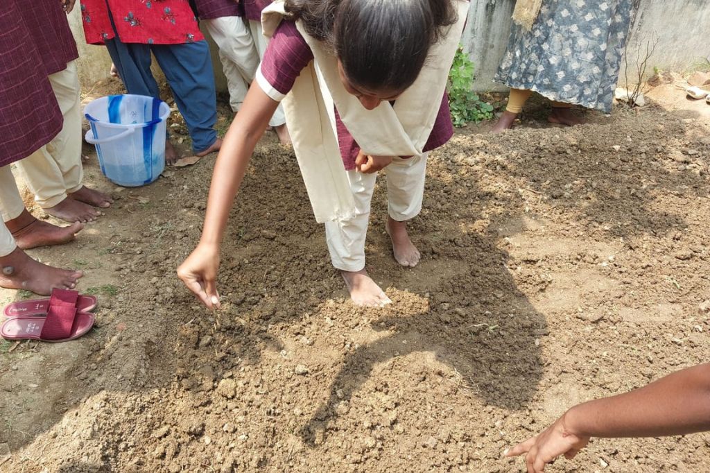 From Seed to Plate: Synergy India Foundation’s Summer Camp Cultivates Kitchen Gardens & Healthy Habits!