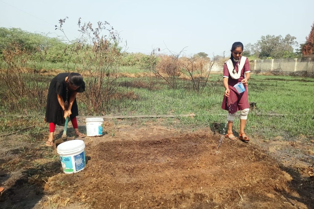 From Seed to Sprout: Synergy India Foundation’s Summer Camp Cultivates Green Thumbs!